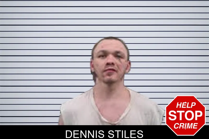 Dennis Stiles mugshot
