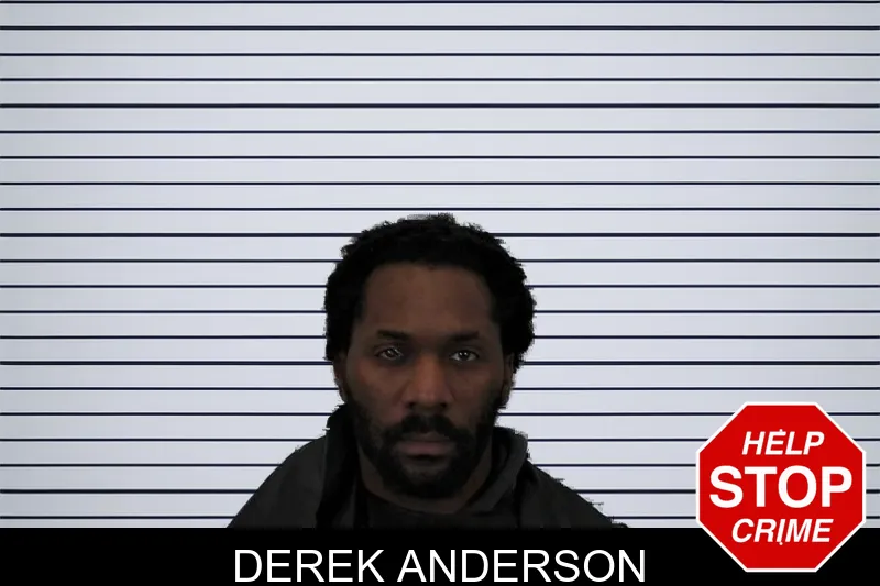 Derek Anderson mugshot