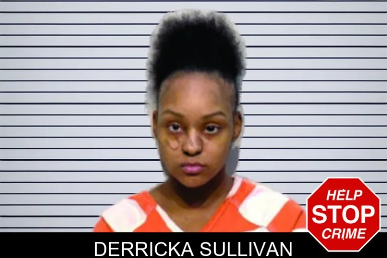Derricka Sullivan mugshot – Bartow County , Georgia Derricka Sullivan