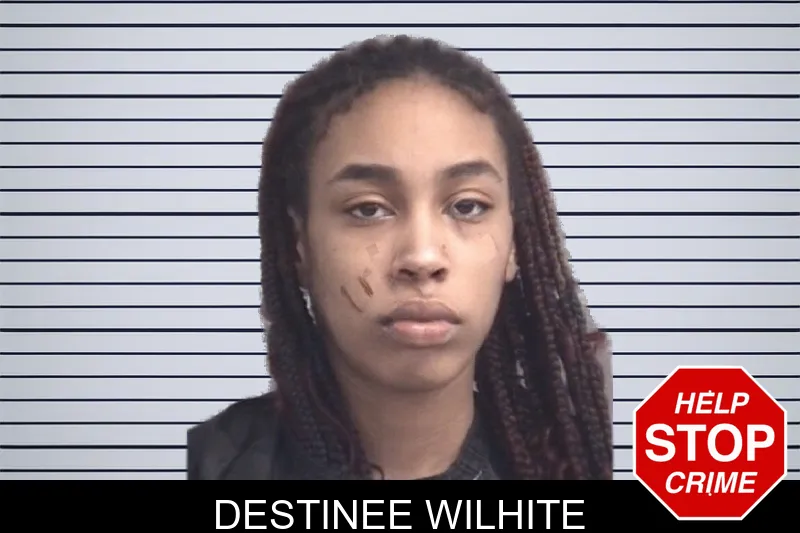 Destinee Wilhite mugshot – Spalding County , Georgia Destinee Wilhite mugshot
