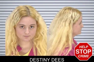 Destiny Dees mugshot