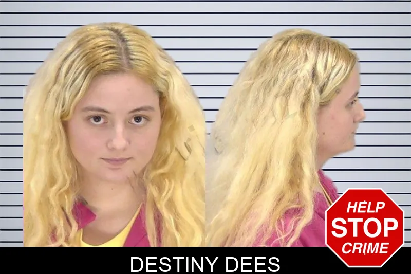 Destiny Dees mugshot