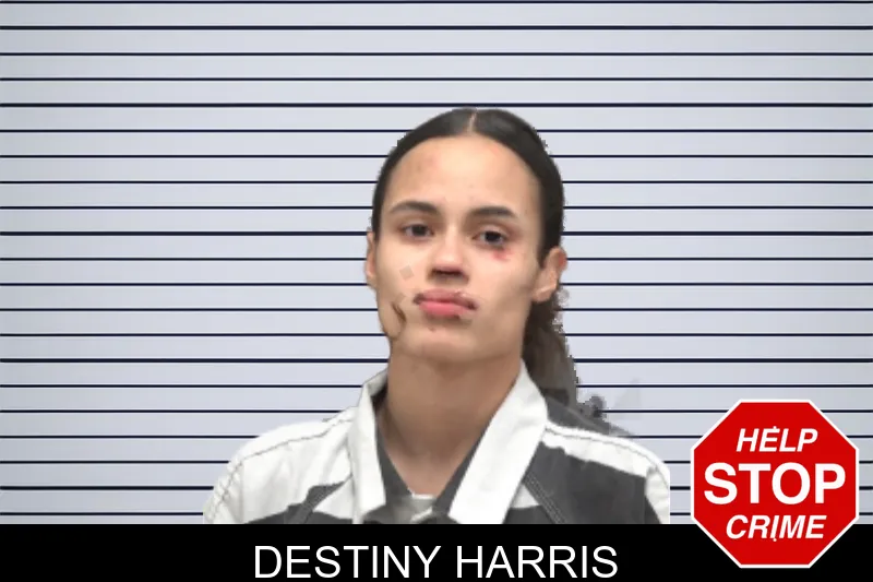 Destiny Harris mugshot
