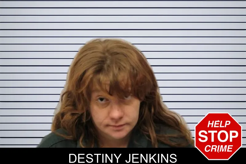 Destiny Jenkins mugshot