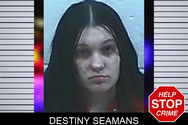Destiny Seamans