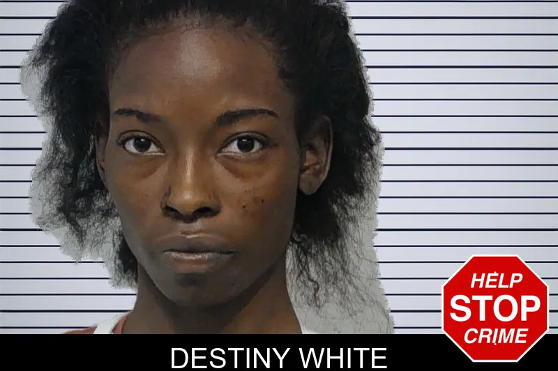 Destiny White mugshot