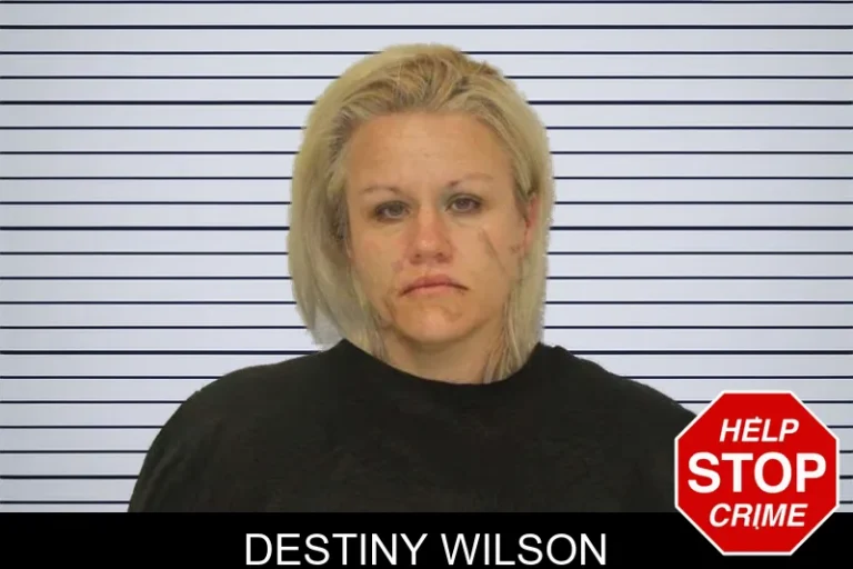 Destiny Wilson