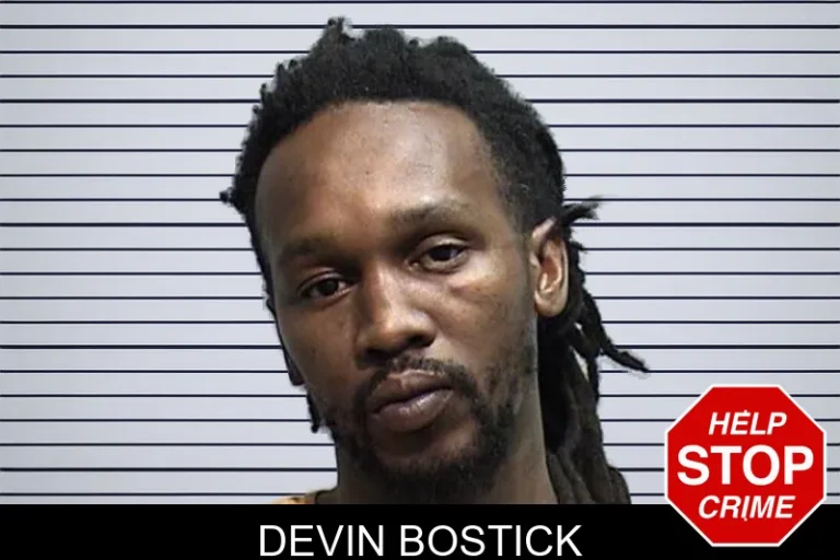 Devin Bostick mugshot – Effingham County , Georgia Devin Bostick