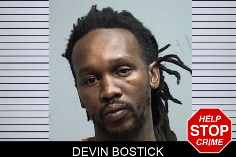 Devin Bostick mugshot – Effingham County , Georgia Devin Bostick