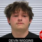 Devin Wiggins mugshot