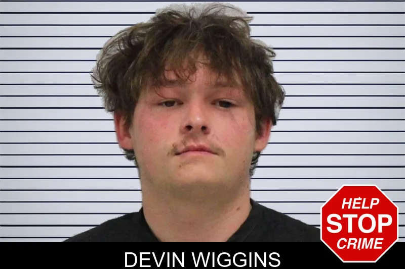 Devin Wiggins mugshot