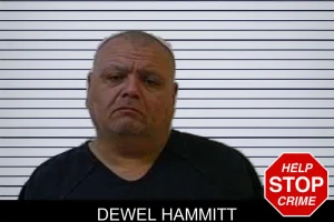 Dewel Hammitt mugshot