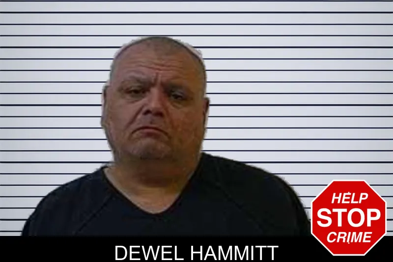 Dewel Hammitt mugshot
