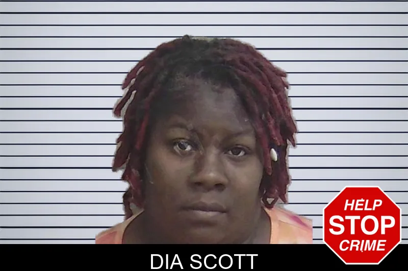Dia Scott mugshot – Wayne County , Georgia Dia Scott mugshot