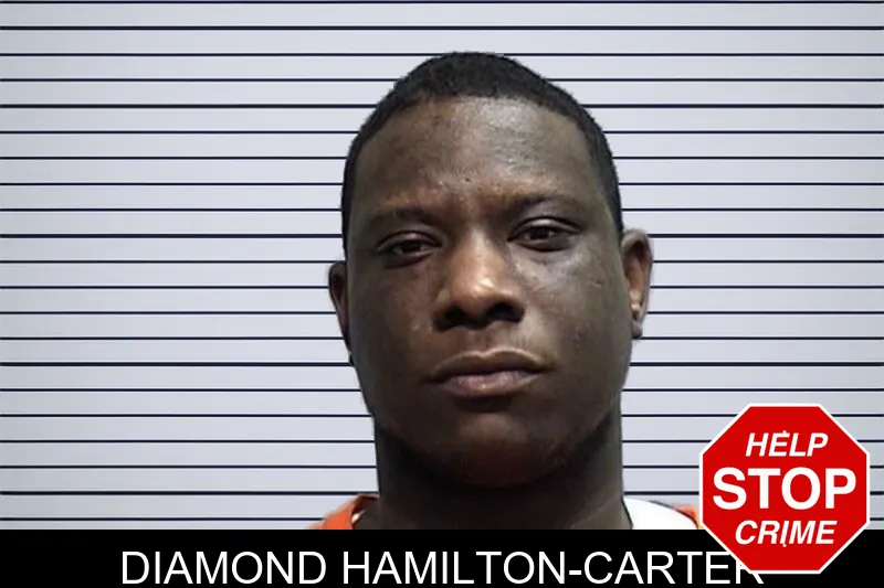 Diamond Hamilton-Carter mugshot – Effingham County , Georgia Diamond Hamilton-Carter mugshot