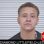 Diamond Littlefield-Lee mugshot