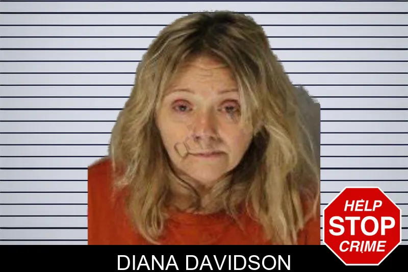 Diana Davidson mugshot