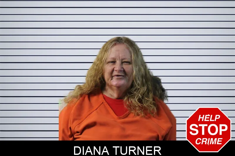 Diana Turner mugshot
