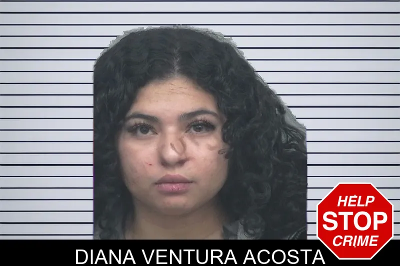 Diana Ventura Acosta mugshot