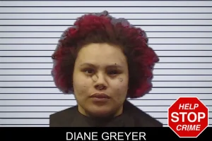 Diane Greyer mugshot