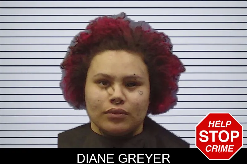 Diane Greyer mugshot