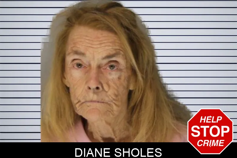 Diane Sholes mugshot – Hall County , Georgia Diane Sholes mugshot