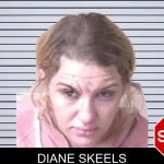 Diane Skeels mugshot