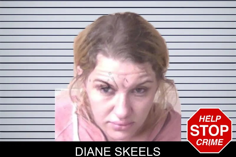 Diane Skeels mugshot