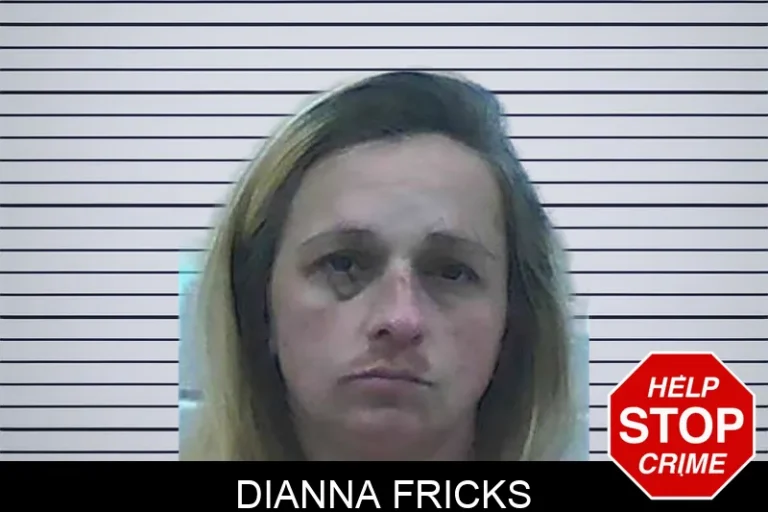 Dianna Fricks mugshot – Jackson County , Georgia Dianna Fricks