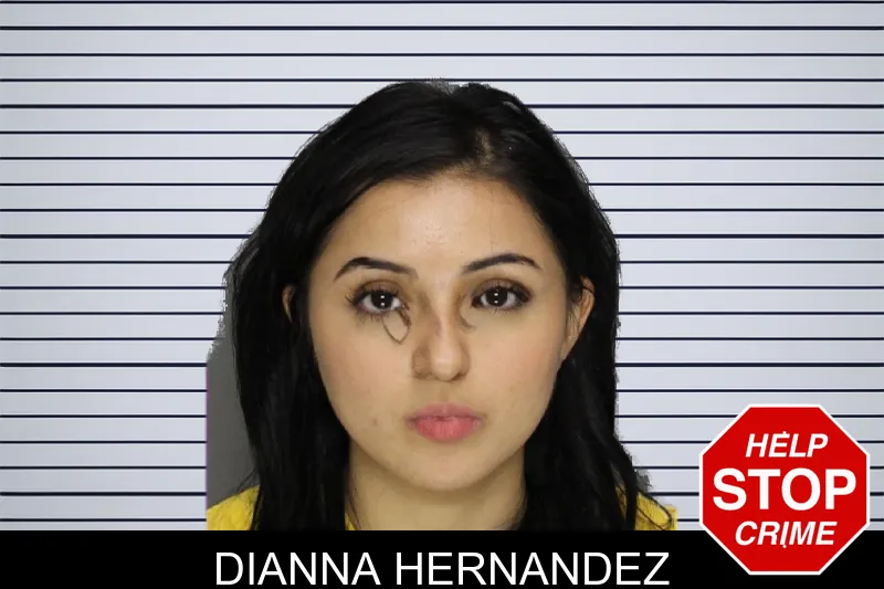 Dianna Hernandez mugshot