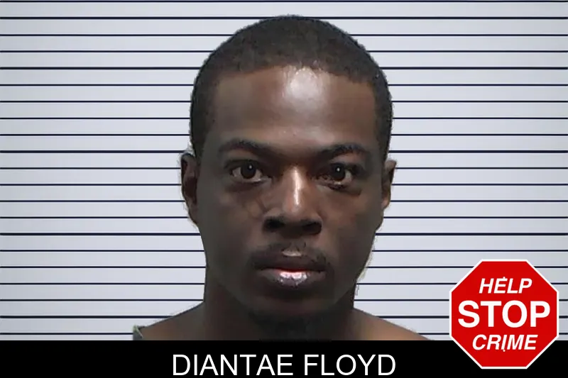 Diantae Floyd mugshot – Tift County , Georgia Diantae Floyd mugshot