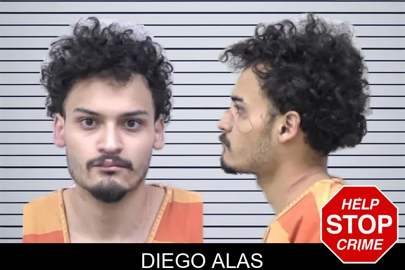 Diego Alas mugshot