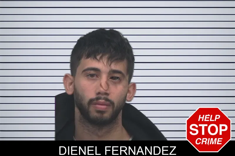 Dienel Fernandez mugshot