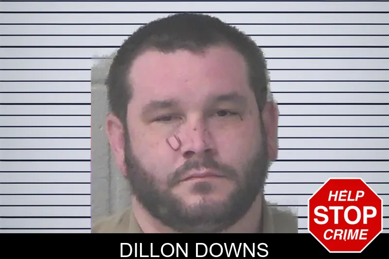 Dillon Downs mugshot