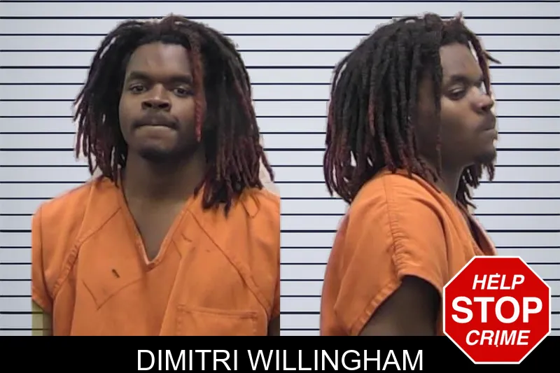 Dimitri Willingham mugshot