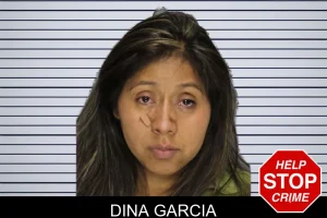 Dina Garcia mugshot