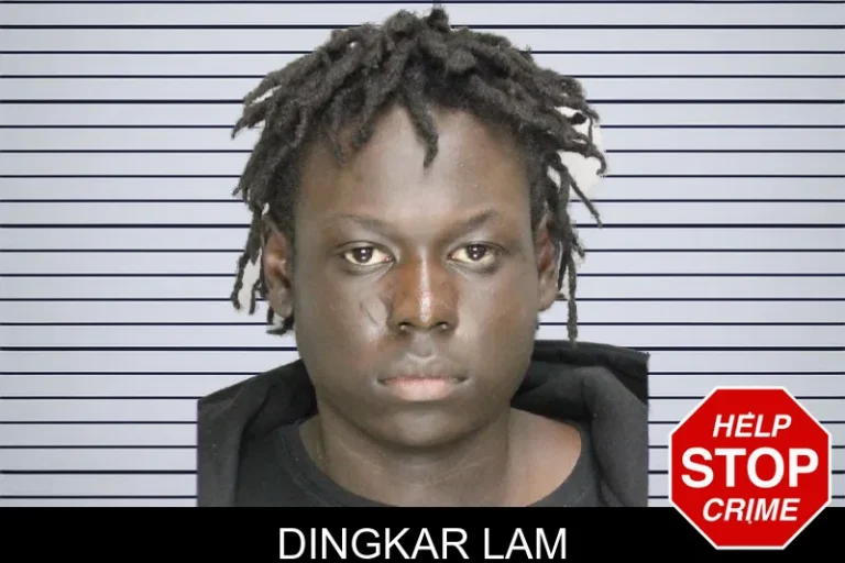 Dingkar Lam mugshot – Cobb County , Georgia Dingkar Lam