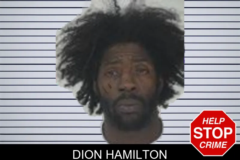 Dion Hamilton mugshot