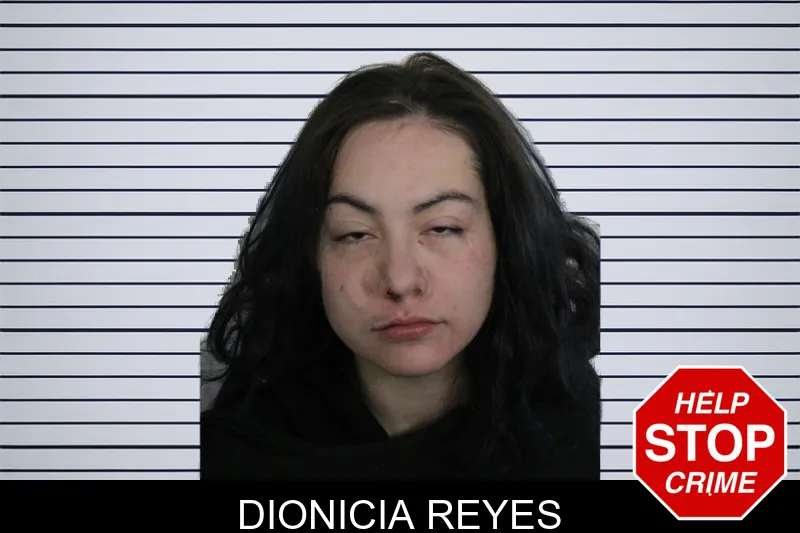 Dionicia Reyes mugshot
