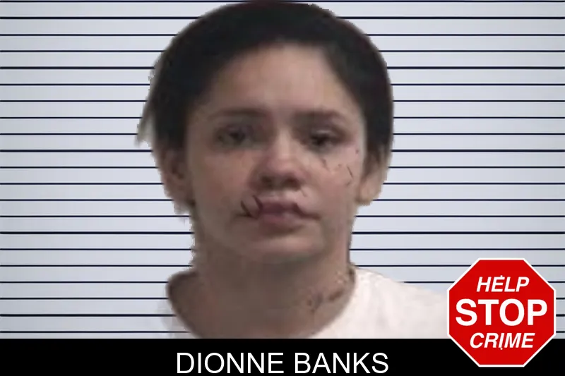 Dionne Banks mugshot – Henry County , Georgia Dionne Banks mugshot