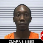 Dmarius Bibbs mugshot