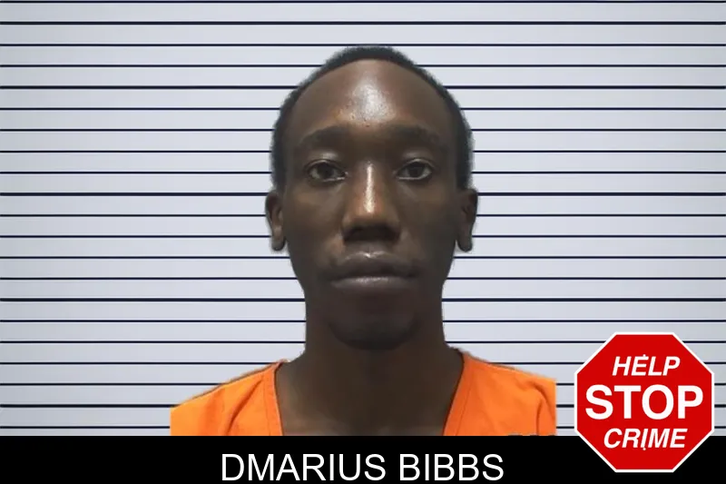 Dmarius Bibbs mugshot