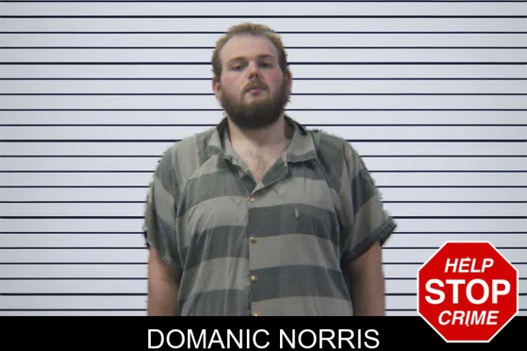 Domanic Norris mugshot – Stephens County , Georgia Domanic Norris