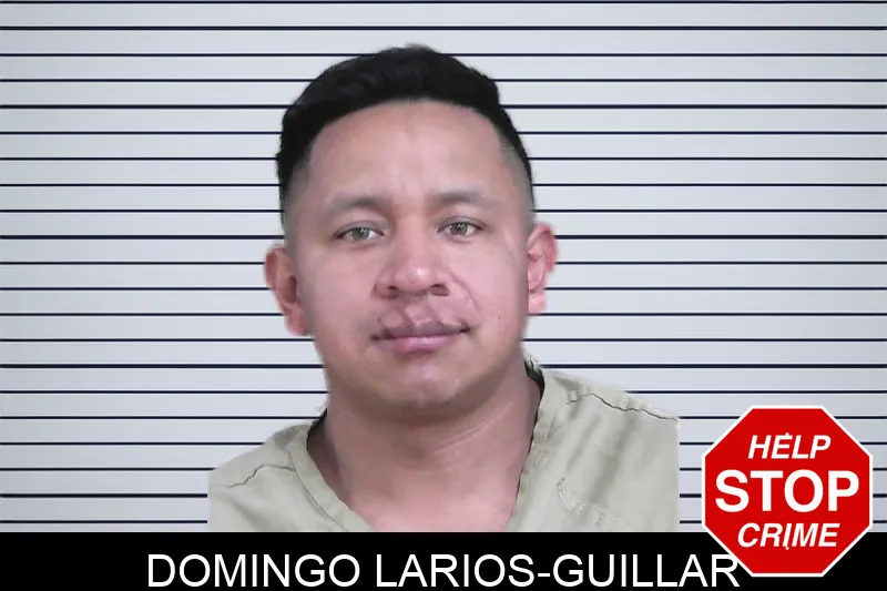 Domingo Larios-Guillar mugshot