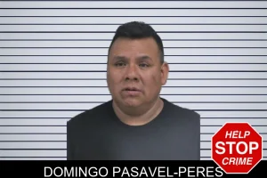 Domingo Pasavel-Peres mugshot