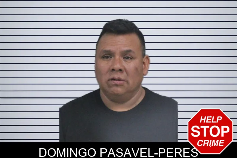 Domingo Pasavel-Peres mugshot