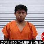 Domingo Tambriz-Mejia mugshot
