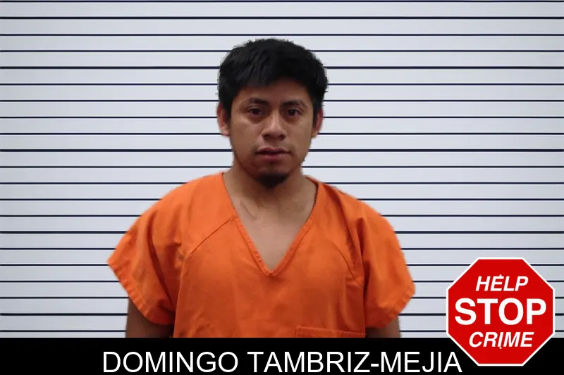 Domingo Tambriz-Mejia mugshot