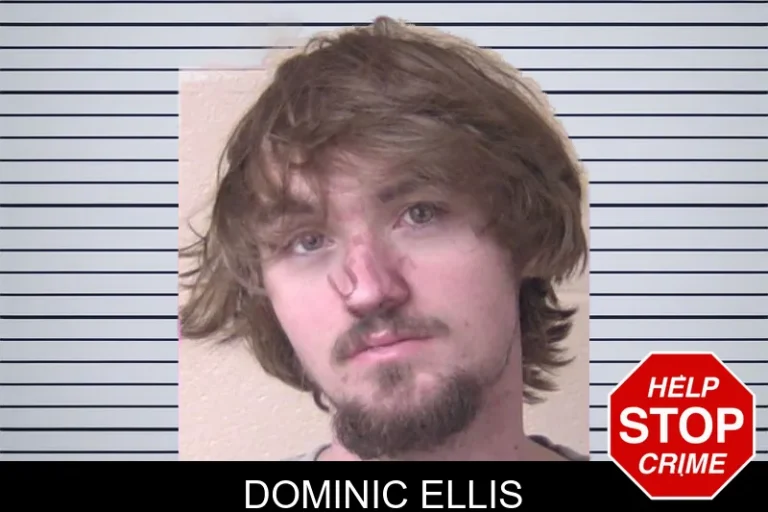 Dominic Ellis mugshot – Walker County , Georgia Dominic Ellis
