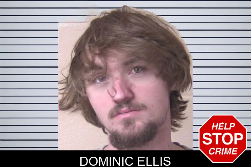 Dominic Ellis mugshot